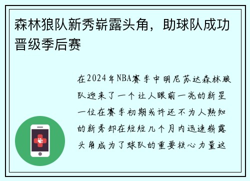森林狼队新秀崭露头角，助球队成功晋级季后赛
