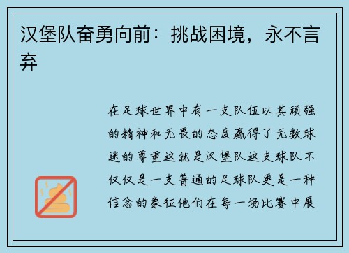 汉堡队奋勇向前：挑战困境，永不言弃
