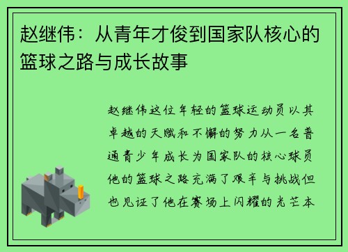 赵继伟：从青年才俊到国家队核心的篮球之路与成长故事