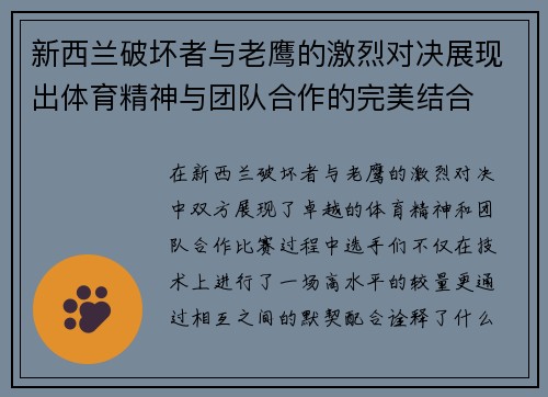 新西兰破坏者与老鹰的激烈对决展现出体育精神与团队合作的完美结合